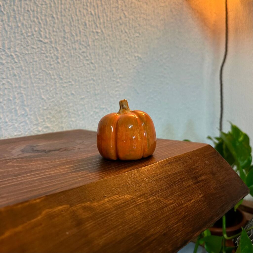 Zucca autunnale - Arancione